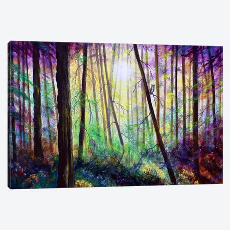 Forest Dream Canvas Print #LAI128} by Laura Iverson Canvas Art Print