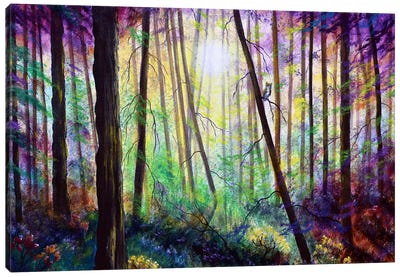Forest Dream Canvas Art Print - Enchanted Forests