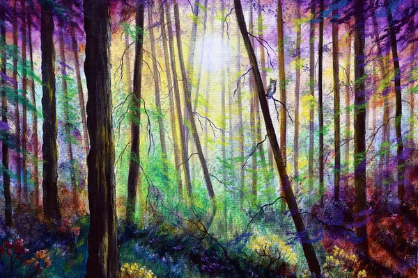 Enchanted Forests: Forest Dream by Laura Iverson