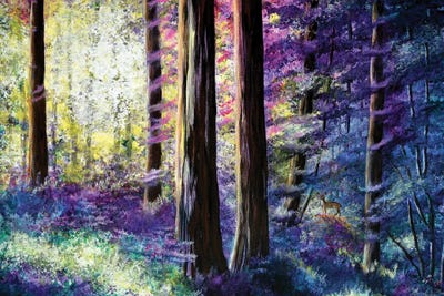 Sunlit Dawn In The Woods by Laura Iverson framed canvas print