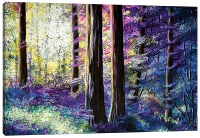 Sunlit Dawn In The Woods Canvas Art Print - Laura Iverson