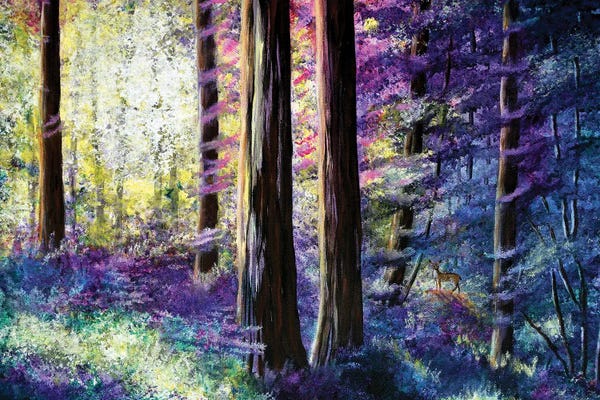 Laura Iverson: Sunlit Dawn In The Woods by Laura Iverson