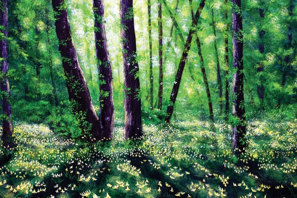 Lilies: Fawn Lilies In Dappled Sun by Laura Iverson