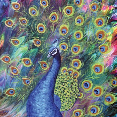 Peacock Canvas Wall Art by Laura Iverson | iCanvas