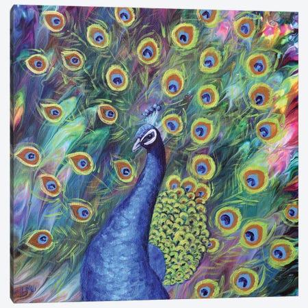 Peacock Canvas Print #LAI135} by Laura Iverson Art Print