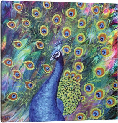 Peacock Canvas Art Print - Laura Iverson