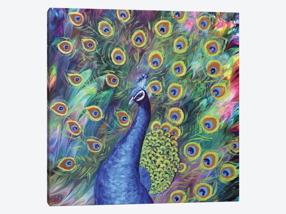 Peacock by Laura Iverson 1-piece Canvas Artwork