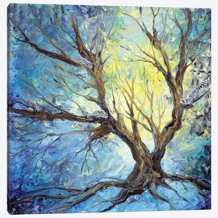 Bare Trees On A Winter Morning Canvas Print #LAI146} by Laura Iverson Canvas Artwork