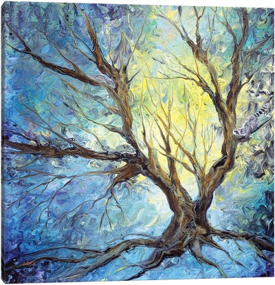 Bare Trees On A Winter Morning Canvas Art Print - Laura Iverson