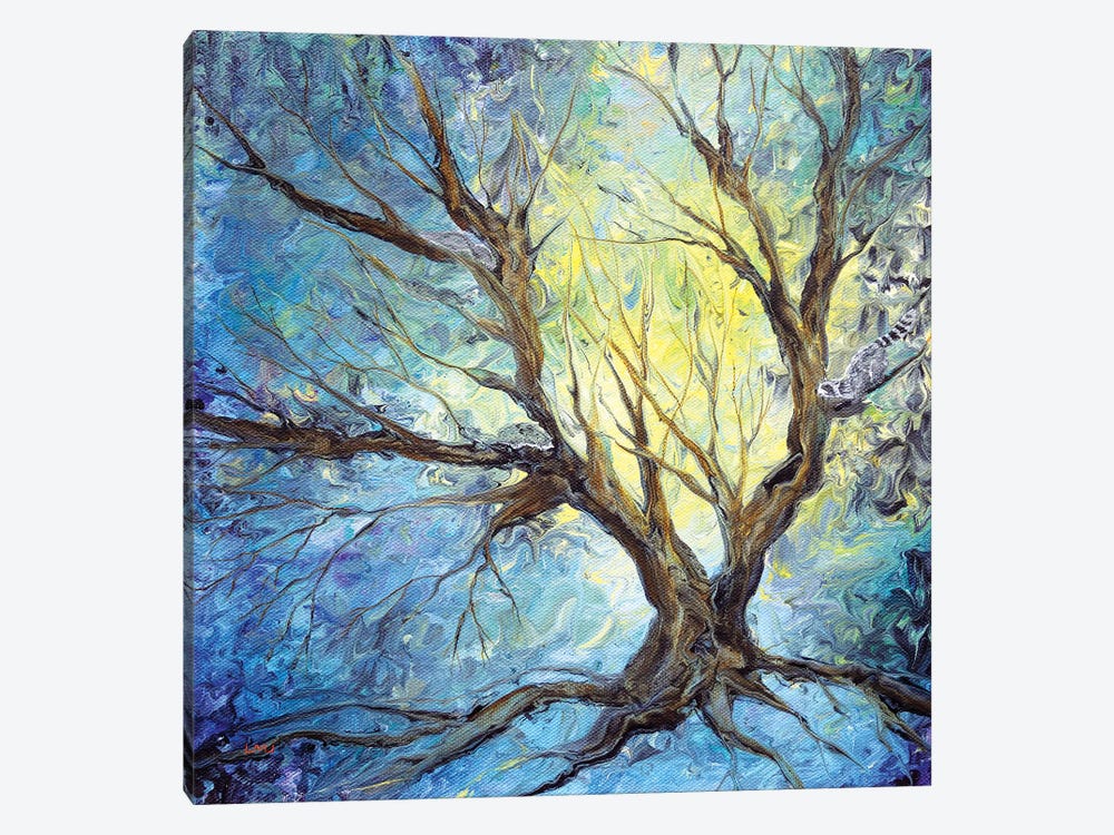 Bare Trees On A Winter Morning by Laura Iverson 1-piece Canvas Art