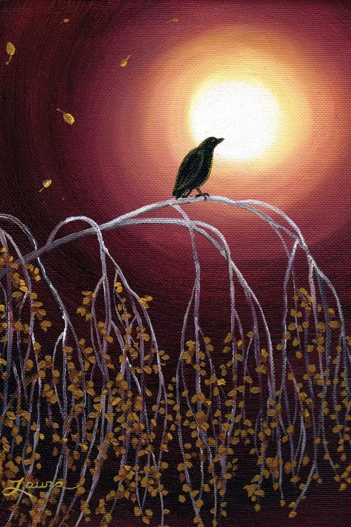 Black Crow On White Birch Branches