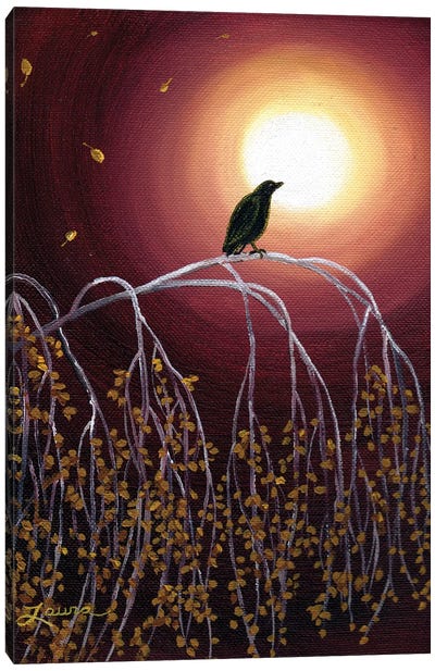 Black Crow On White Birch Branches Canvas Art Print - Laura Iverson