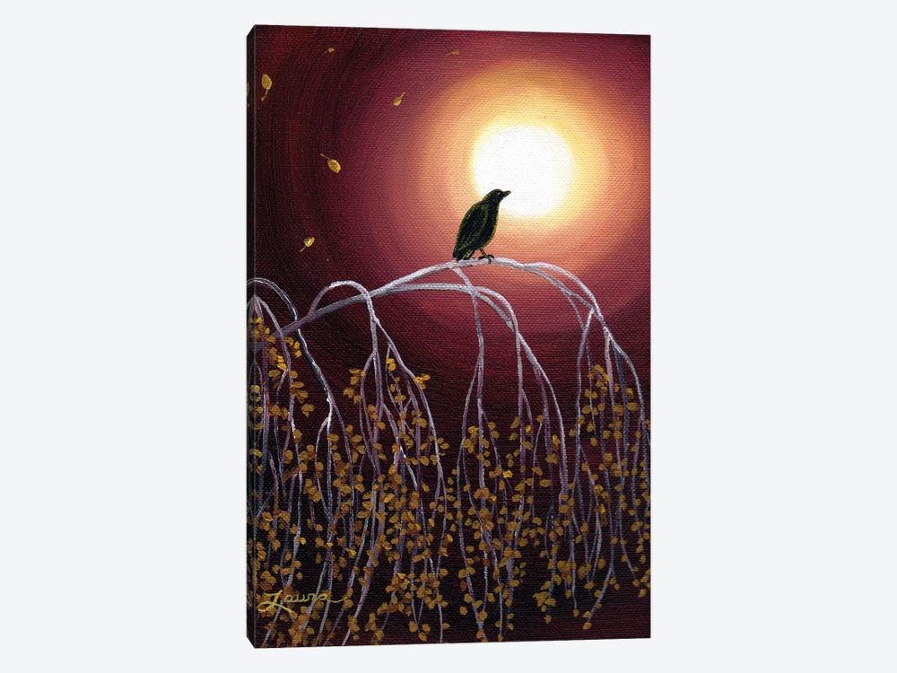 Black Crow On White Birch Branches by Laura Iverson 1-piece Canvas Print