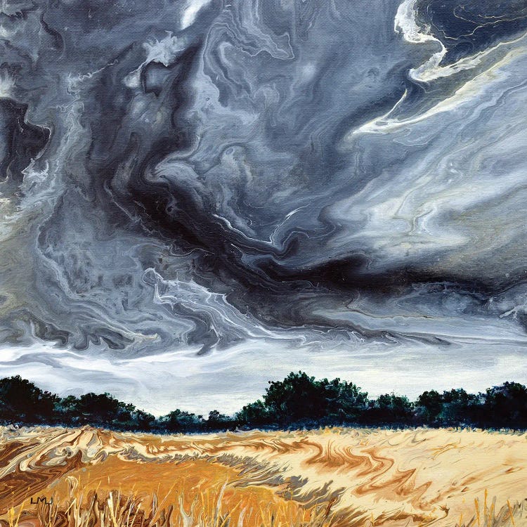 Storm Clouds Over An Oak Savannah by Laura Iverson canvas print