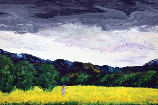 Geese: Stopping To Watch The Geese Fly by Laura Iverson