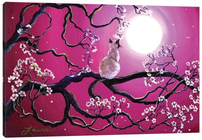 Blossoms In Fuchsia Moonlight Canvas Art Print - Laura Iverson
