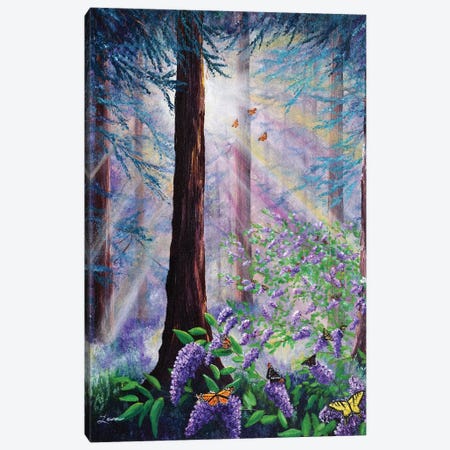 Butterfly Grove In Redwood Forest Canvas Print #LAI18} by Laura Iverson Art Print
