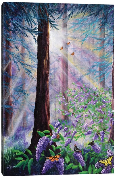 Butterfly Grove In Redwood Forest Canvas Art Print - Laura Iverson
