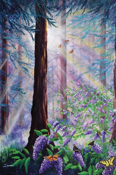 Laura Iverson: Butterfly Grove In Redwood Forest by Laura Iverson