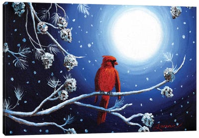 Cardinal On Christmas Eve Canvas Art Print - Laura Iverson