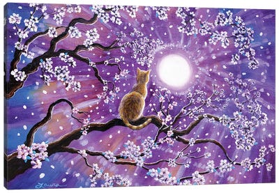 Champagne Tabby Cat In Cherry Blossoms Canvas Art Print - Laura Iverson