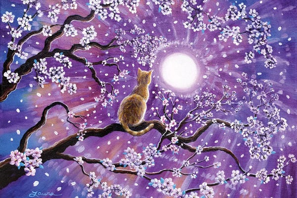 Tabbies: Champagne Tabby Cat In Cherry Blossoms by Laura Iverson
