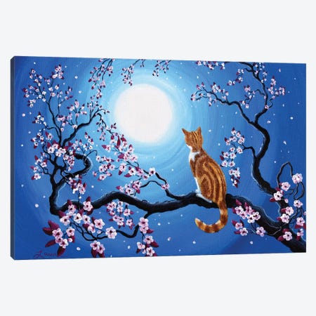 Creamsicle Kitten In Blue Moonlight Canvas Print #LAI27} by Laura Iverson Canvas Art Print