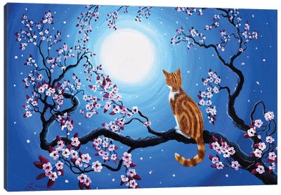 Creamsicle Kitten In Blue Moonlight Canvas Art Print - Laura Iverson