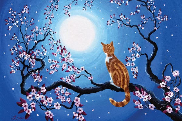 Laura Iverson: Creamsicle Kitten In Blue Moonlight by Laura Iverson