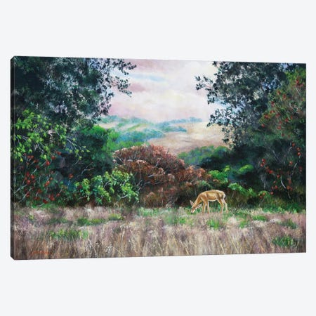 Deer On A Hilltop Vista Canvas Print #LAI33} by Laura Iverson Canvas Print