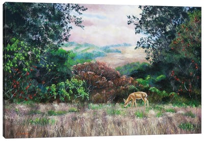 Deer On A Hilltop Vista Canvas Art Print - Laura Iverson