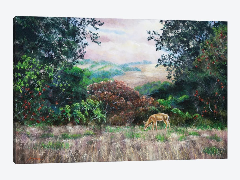 Deer On A Hilltop Vista by Laura Iverson 1-piece Canvas Artwork
