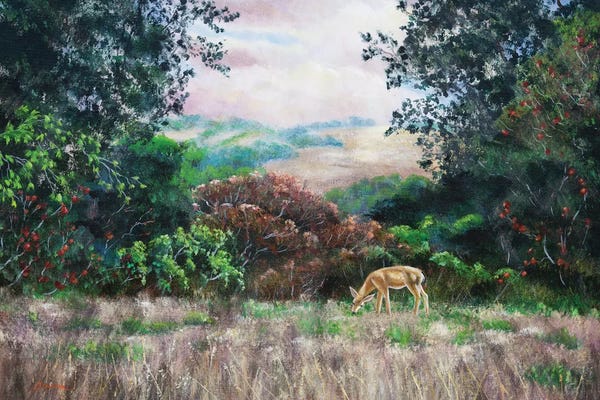 Laura Iverson: Deer On A Hilltop Vista by Laura Iverson