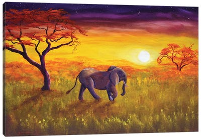 Elephant In Purple Twilight Canvas Art Print - Laura Iverson
