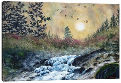 Enchanted Evening At Alsea Falls Canvas Art Print - Laura Iverson