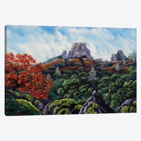 First View Of Pinnacles Canvas Print #LAI37} by Laura Iverson Canvas Wall Art