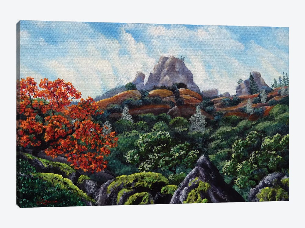 First View Of Pinnacles by Laura Iverson 1-piece Canvas Art