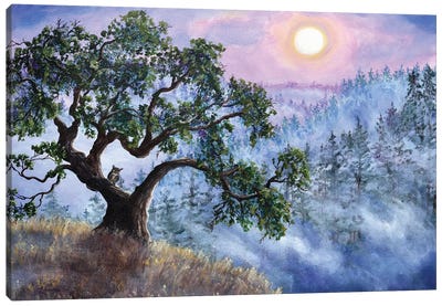 Luna In Mist And Fog Canvas Art Print - Laura Iverson