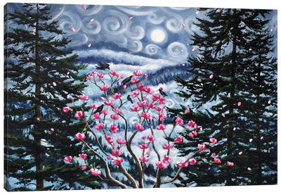 Magnolia And Pine Trees In Early Spring Canvas Art Print - Laura Iverson