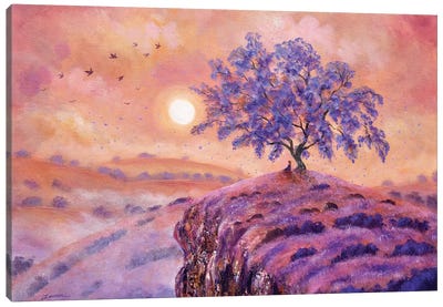 Meditating Under A Jacaranda Tree Canvas Art Print - Laura Iverson