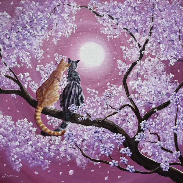 Orange And Gray Tabby Cats In Cherry Blossoms