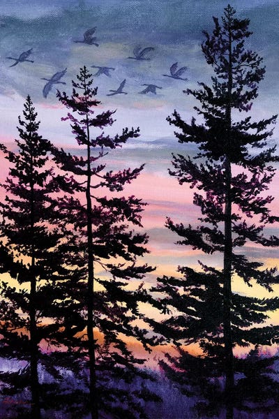 Pine Trees: Oregon Sunset by Laura Iverson