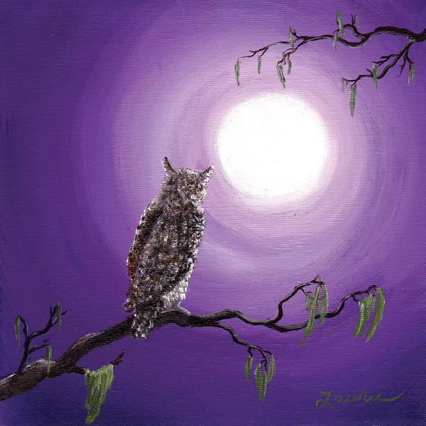 Laura Iverson: Owl On Mossy Branch by Laura Iverson