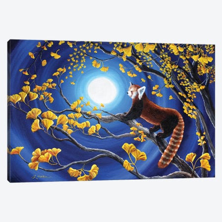 Red Panda In Golden Gingko Tree Canvas Print #LAI75} by Laura Iverson Canvas Artwork