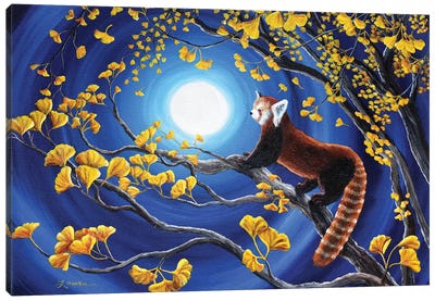Red Panda In Golden Gingko Tree Canvas Art Print - Red Panda Art
