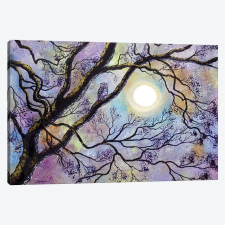 Screech Owl In White Oak Tree Canvas Print #LAI77} by Laura Iverson Canvas Art