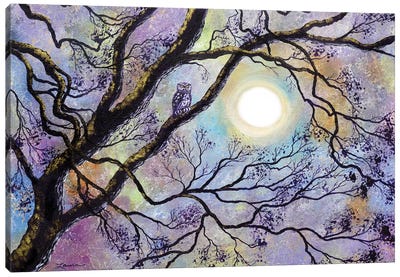 Screech Owl In White Oak Tree Canvas Art Print - Oak Tree Art