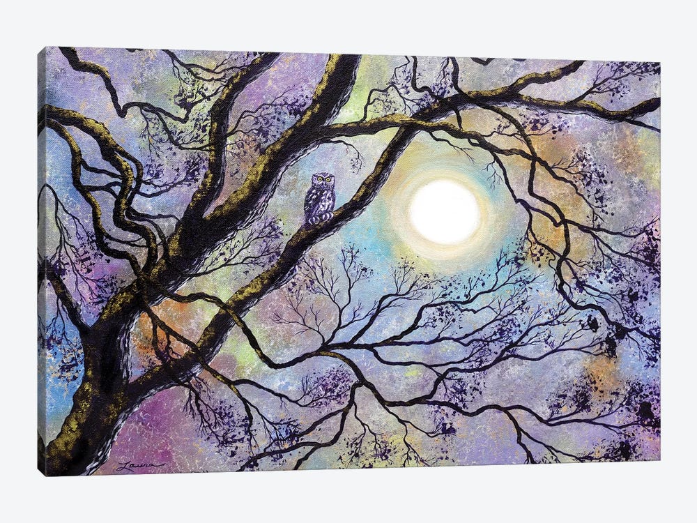 Screech Owl In White Oak Tree by Laura Iverson 1-piece Canvas Wall Art