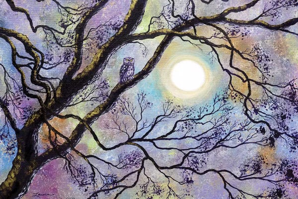 Oak Trees: Screech Owl In White Oak Tree by Laura Iverson