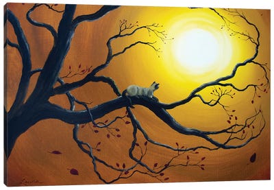 Siamese Cat In Golden Splendor Canvas Art Print - Laura Iverson